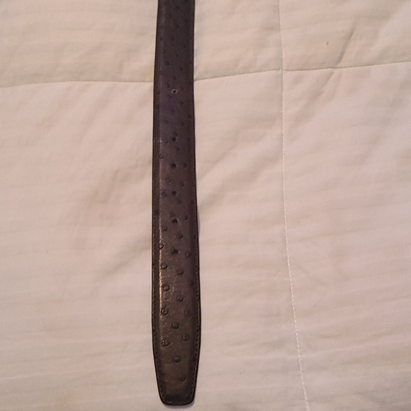 Belt - Picture 6 of 6